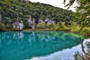 Hırvatistan 'daki dağ ormanlarıyla çevrili yansıtıcı Plitvice göllerinin manzarası