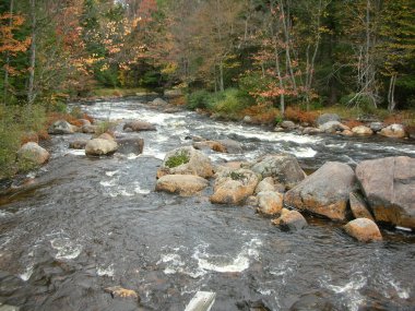 Ormanda akan güzel bir dere manzarası.