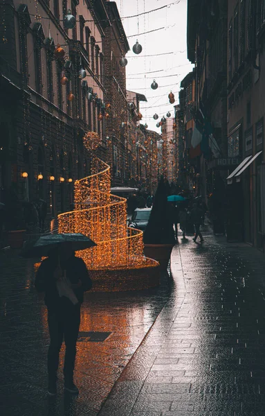 Uma Foto Vertical Ângulo Largo Uma Pessoa Andando Com Guarda — Fotografia de Stock