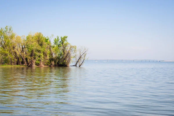 Scenery Paris Tennessee Land Lakes National Recreation Area Usa — Stock Photo, Image