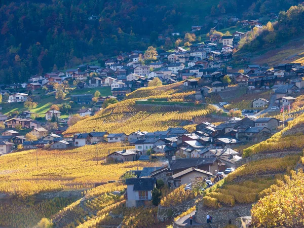 小さな家やブドウ畑のある村の美しい景色 — ストック写真