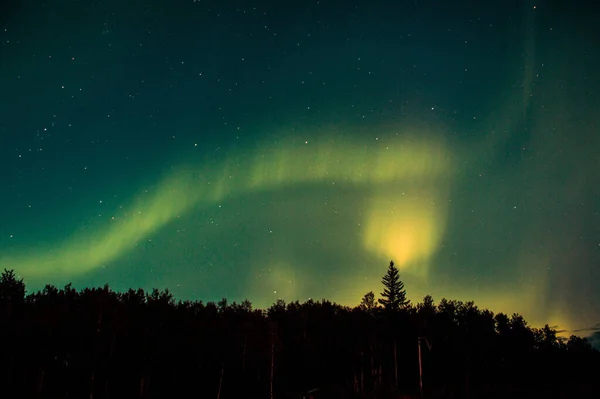 Nízký Úhel Záběru Zelené Žluté Severní Záře Nad Lesem — Stock fotografie