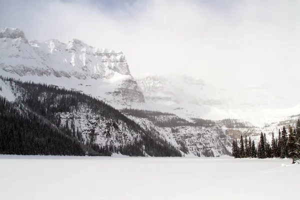 Frozen Hectare Lake Surrounded Rocky Mountains Trees Icefields Parkway Alberta — Stock Photo, Image