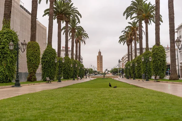 Mosque Rabat Next Main Railway Station Outdoors — Stock Photo, Image