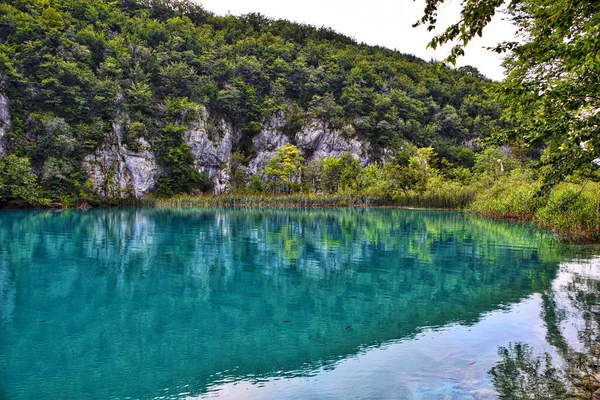 Una Vista Panorámica Los Lagos Reflectantes Plitvice Rodeados Bosques Montaña — Foto de Stock