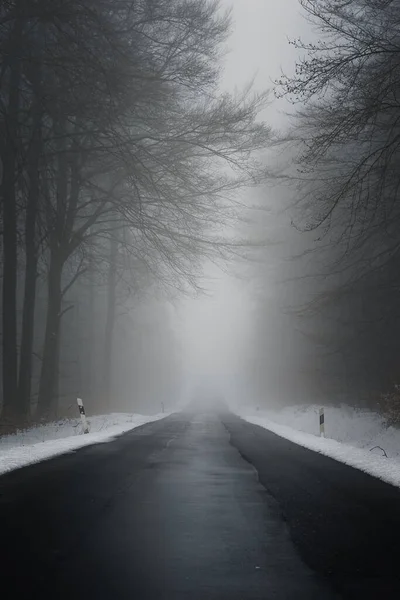 Tiro Vertical Uma Estrada Uma Floresta Dia Inverno Sombrio Alemanha — Fotografia de Stock