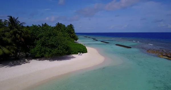 Une Vue Aérienne Des Arbres Sur Une Plage Sable Près — Photo