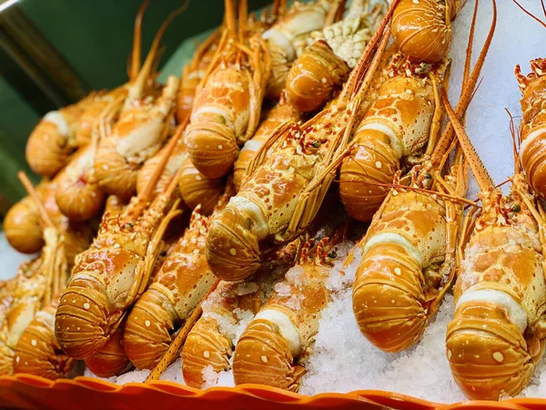 魚介類屋に飾られたオレンジ色のロブスターが背景がぼやけて販売されています — ストック写真