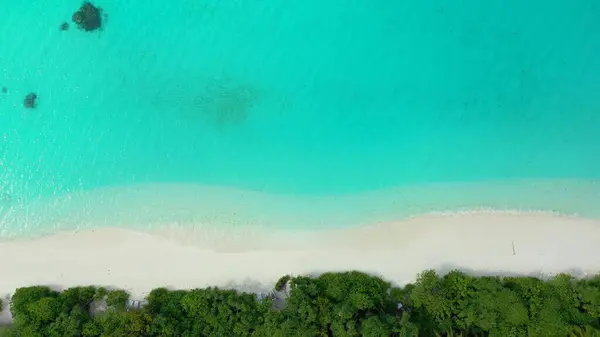 Вид Воздуха Деревья Песчаном Пляже Океана — стоковое фото