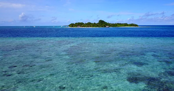 Вид Висоти Моря Тлі Вирощування Дерев Мальдівах — стокове фото