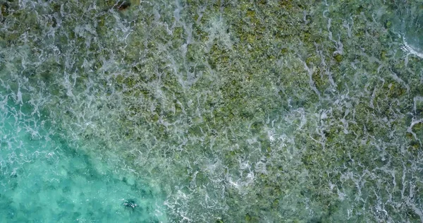 Légi Kilátás Trópusi Strand Víz Algák Textúra Közelében Maldív Szigetek — Stock Fotó