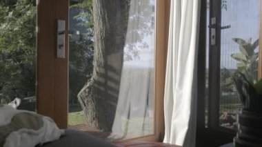 Açık havada açık havada ağaçların üzerine yağmur yağan cam bir pencerenin güzel bir iç görüntüsü.