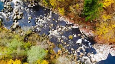Sonbaharda renkli ağaçlarla kaplanmış dağlık bir arazinin büyüleyici bir görüntüsü.