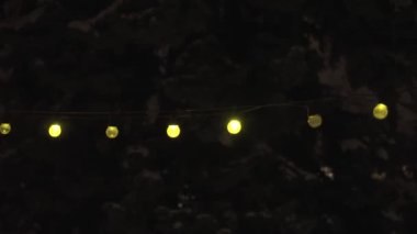 Gece vakti bir parktaki telin üzerindeki ampullerin yakın plan görüntüsü.