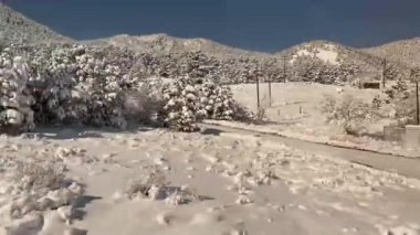 Colorado 'daki köknar ağaçlarıyla kaplı kayalık dağların manzarası
