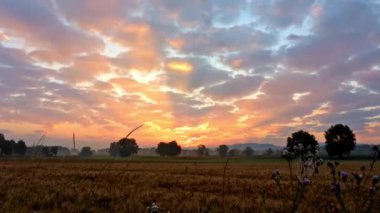 Arkasında mısır tarlası ve bulutlu gökyüzü olan bir arazinin günbatımı sırasında hızlandırılması, Almanya
