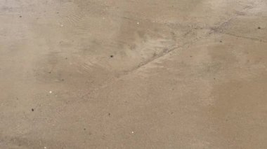 Deniz suyu sahildeki kuma yaklaşıyor.
