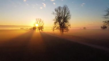 Issız bir doğada sisli bir gün doğumu manzarası. Arka planda ağaç siluetleri ve mavi gökyüzü var.