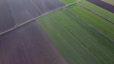 Yeşil çimenli ve sıralanmış su sulamalı güzel bir hava manzarası.