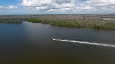 Bir dron Florida mangrovlarında bir tekneyi takip ediyor.