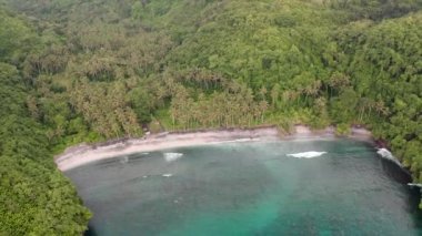 Nusa Lembongan adasında ormanı olan güzel bir sahil manzarası.
