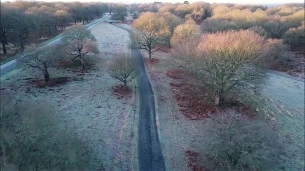 Luchtfilmische Drone Beelden Van London Park Winter Het Gouden Uur — Stockvideo