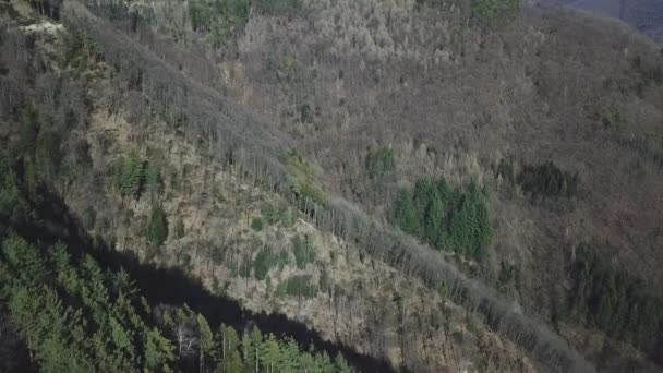 Aerial View Trees Monte Generoso Valle Muggio Switzerland — Stock Video