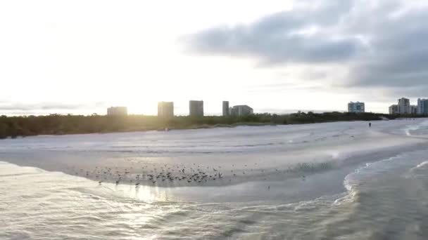 Neapol Plaża Ptakami Latającymi — Wideo stockowe