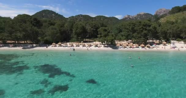 Eine Antenne Von Einer Küste Palma Mallorca Spanien — Stockvideo