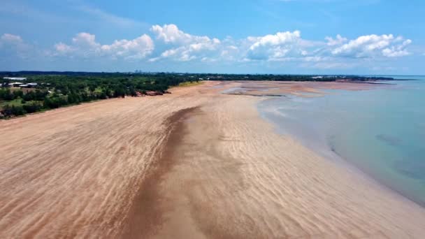 Beautiful Landscape Aerial Drone Shot Green Trees Beach Ocean Darwin — Stock Video
