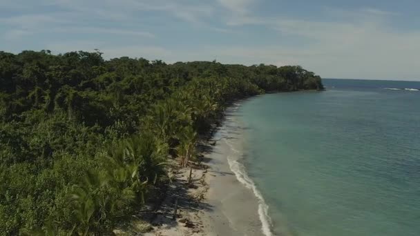 Cahuita Ulusal Parkı Limon Kosta Rika Kıyılarının Havadan Görünüşü — Stok video