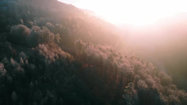 Fascinerande Bild Ett Bergigt Landskap Täckt Med Färgglada Träd Hösten — Stockvideo