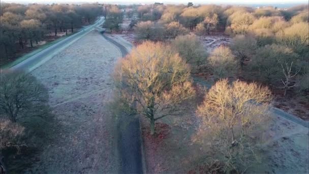 Riprese Aeree Dei Droni Del London Park Inverno All Ora — Video Stock