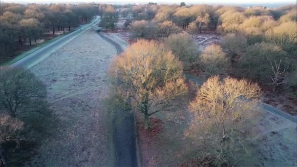 Luchtfilmische Drone Beelden Van London Park Winter Het Gouden Uur — Stockvideo