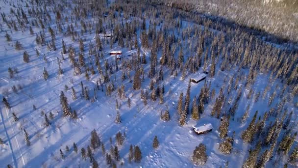 冬季挪威的Trysil无人驾驶飞机图像 — 图库视频影像