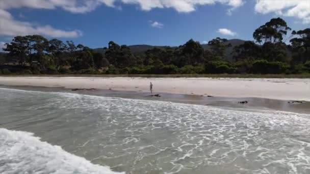 Vacker Utsikt Över Man Som Springer Strand Tasmanien Australien — Stockvideo