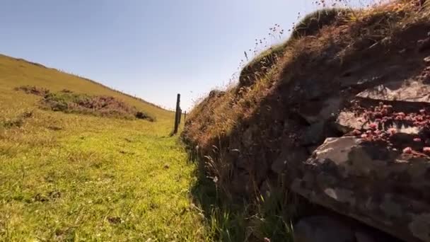 Strzał Drona Dzikiej Trawy Skał Hartland Quay Urwiskach Widokiem Ocean — Wideo stockowe