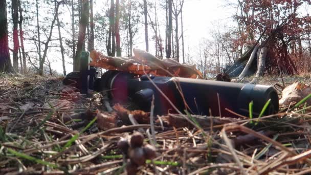 Une Boule Feu Dans Herbe Avec Des Feuilles Tombant Dessus — Video