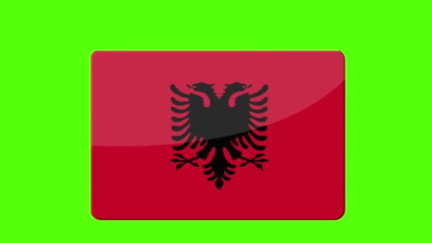 Albánská Národní Vlajka Objevuje Zelené Obrazovce — Stock video