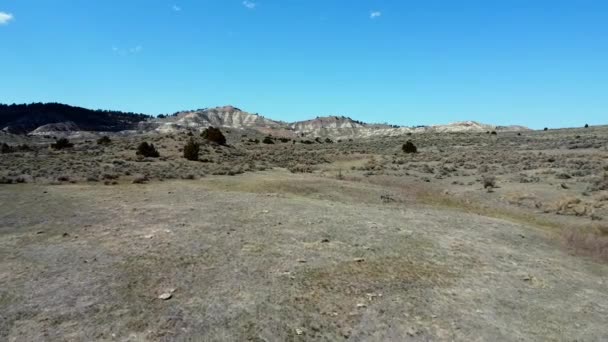 Снимок Большого Зеленого Ландшафта Пустого Нечистого Поля Ясным Синим Небом — стоковое видео
