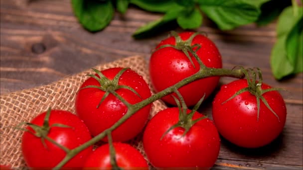 Tomates Fraîches Humides Sur Bois — Video