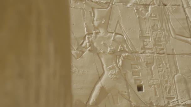 Gravírozás Falon Ősi Épület Egyiptomban — Stock videók