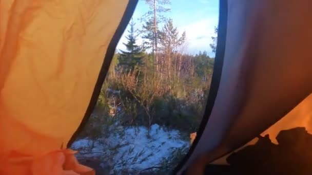 Een Panoramische Beelden Van Het Bos Bij Zonsondergang — Stockvideo