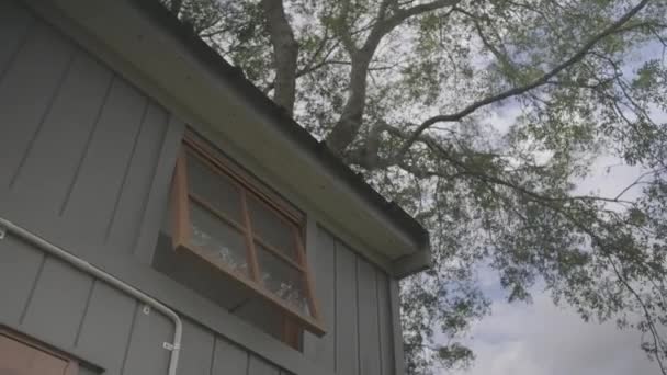 Sebuah Sudut Rendah Ditembak Dari Luar Rumah Dengan Jendela Samping — Stok Video