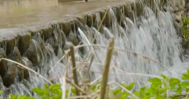 公园里有流水和石头的小瀑布 — 图库视频影像