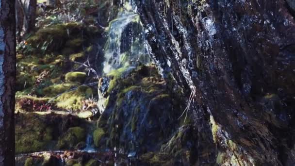캐나다 브리티시컬럼비아주 밴쿠버 알버니 바위에 폭포의 아름다운 — 비디오