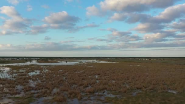Drone Shot Tracking Overgebleven Overstroomd Grasland — Stockvideo