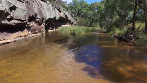 Filmaufnahmen Eines Flusses Der Wald Der Tropfschlucht Fließt — Stockvideo