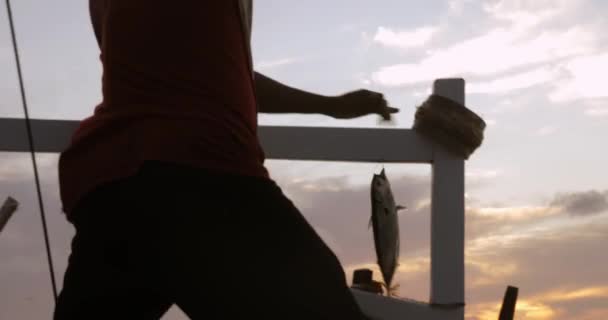 Gün Doğarken Yem Çeken Balili Bir Balıkçının Görüntüsü — Stok video