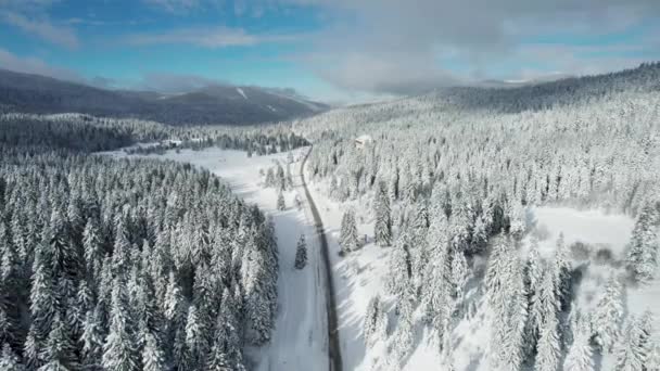 冬季山地弯道与驾驶汽车的航景 — 图库视频影像